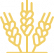 ico_1_1 ico_1_1