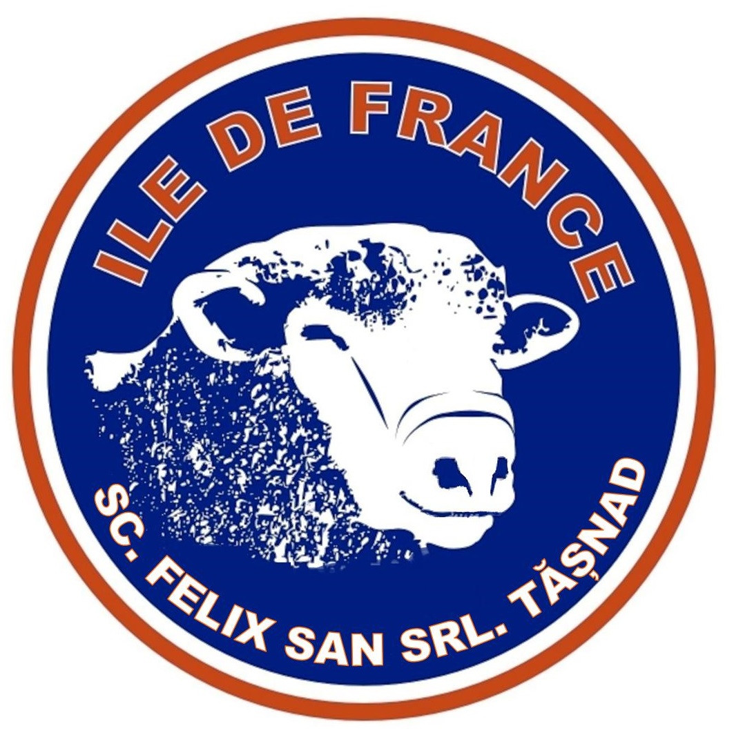 Logo-sajat-kep-IDF-1.jpg